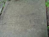 image of grave number 810562